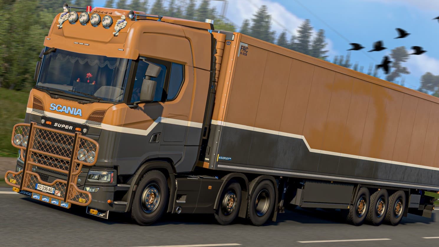 Pean Logistics truck